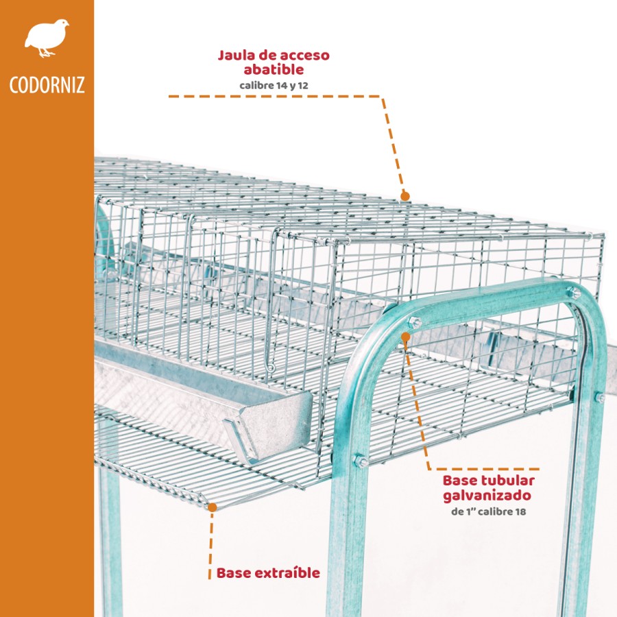 Jaula Codorniz postura 90 cm con 3 secciones