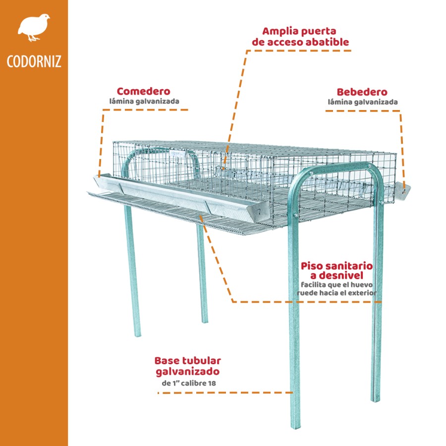 �Jaula Codorniz postura 1.20 mts con 4 secciones