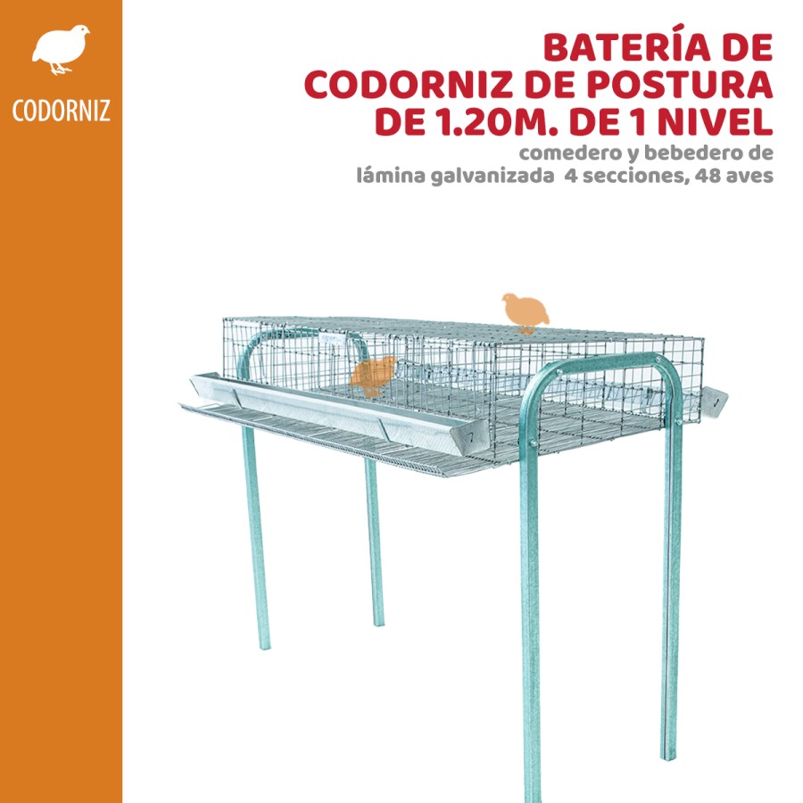 Jaula Codorniz postura 1.20 mts con 4 secciones