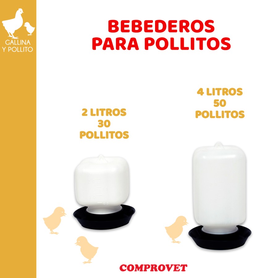 Bebederos para Pollitos