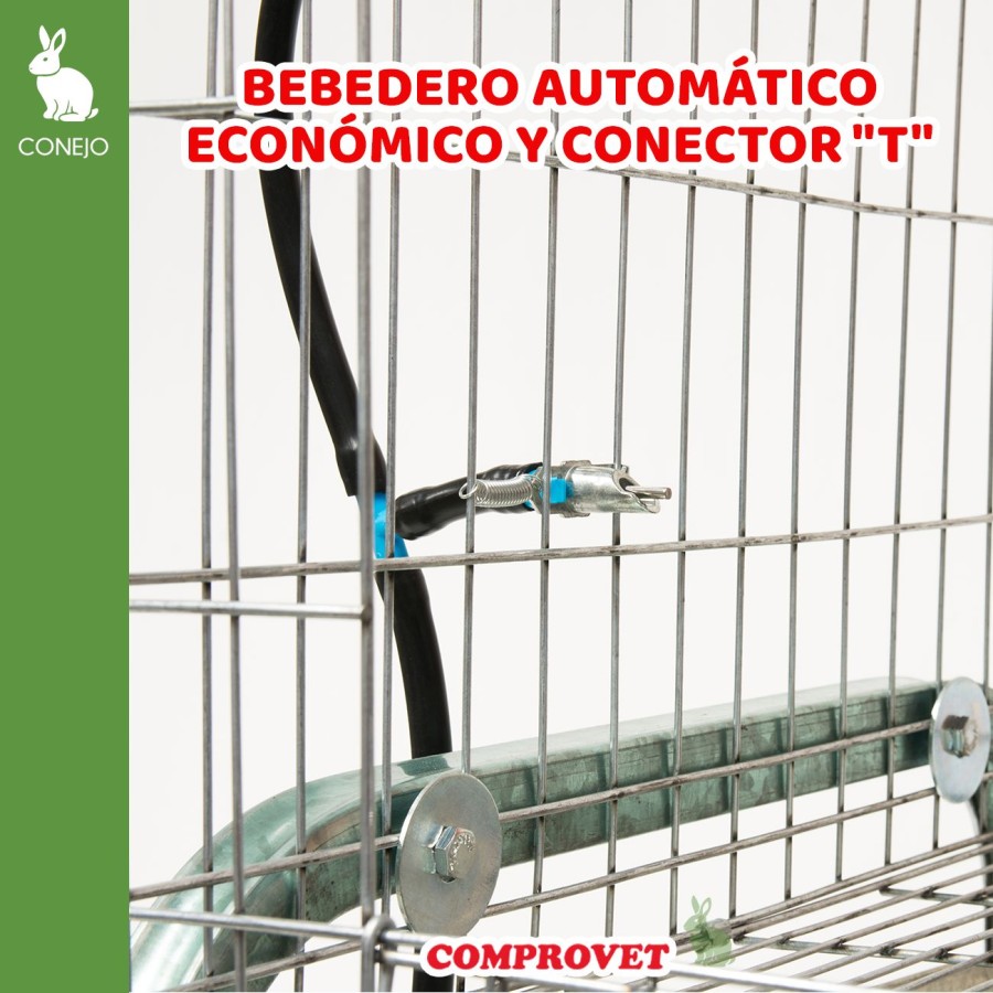 Bebedero  automático económico para conejo de espiga para manguera con conector  