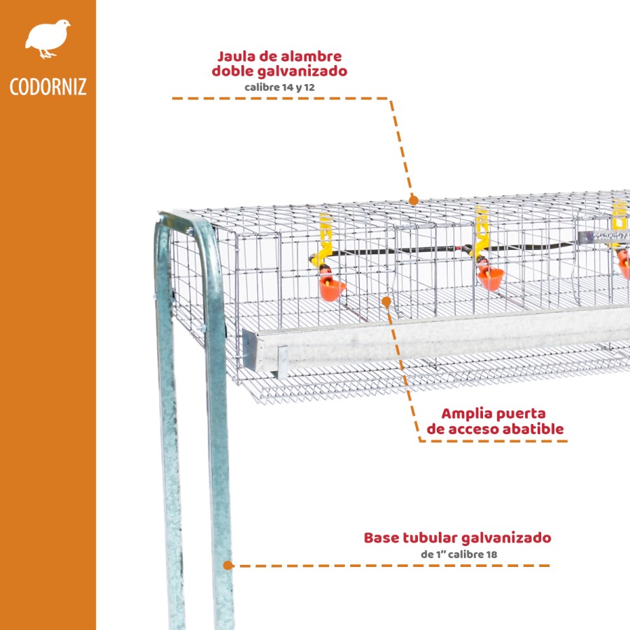 BaterÃ­a de Codorniz para Postura 1.20 mts 4 secciones