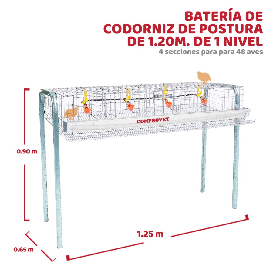  Batería codorniz 1.2m 4 secciones 1 nivel con bebedero automático